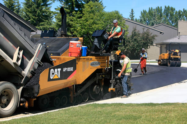 Best Affordable Driveway Paving  in Stamps, AR